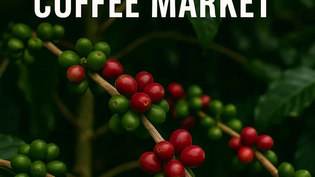 Why You’re Seeing Higher Coffee Prices (And How We’re Choosing Fairness)